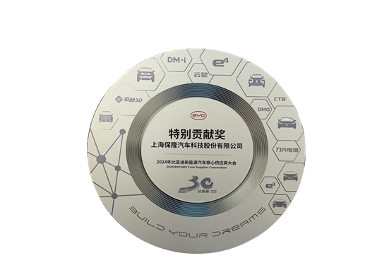 5%202024%E5%B9%B4%E6%AF%94%E4%BA%9A%E8%BF%AA%E6%B1%BD%E8%BD%A6%E7%89%B9%E5%88%AB%E8%B4%A1%E7%8C%AE%E5%A5%96